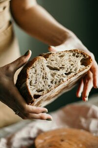 The Modern Day Homestead Sourdough Starter